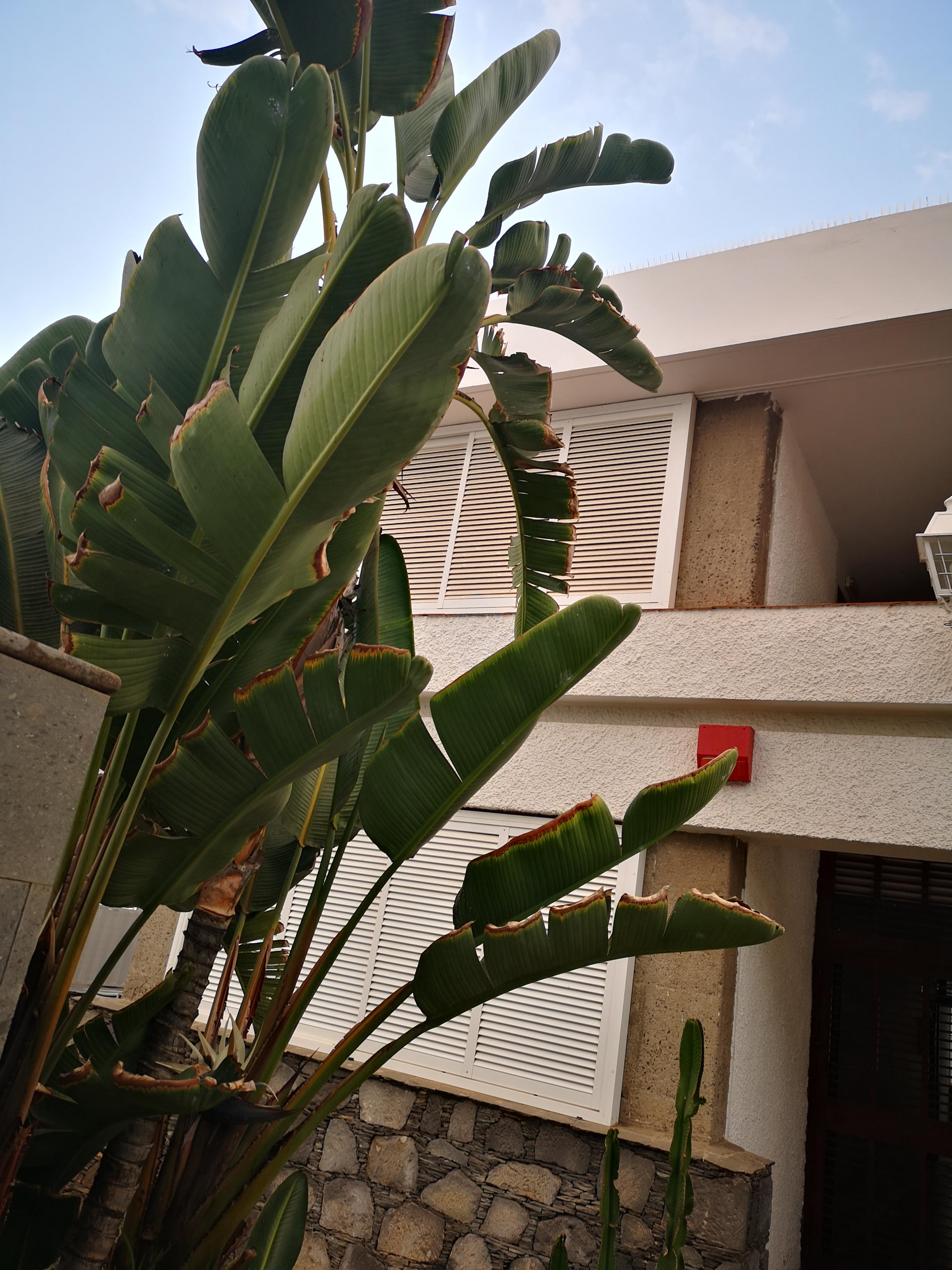 Apartamentos Tamara Maspalomas  Buitenkant foto