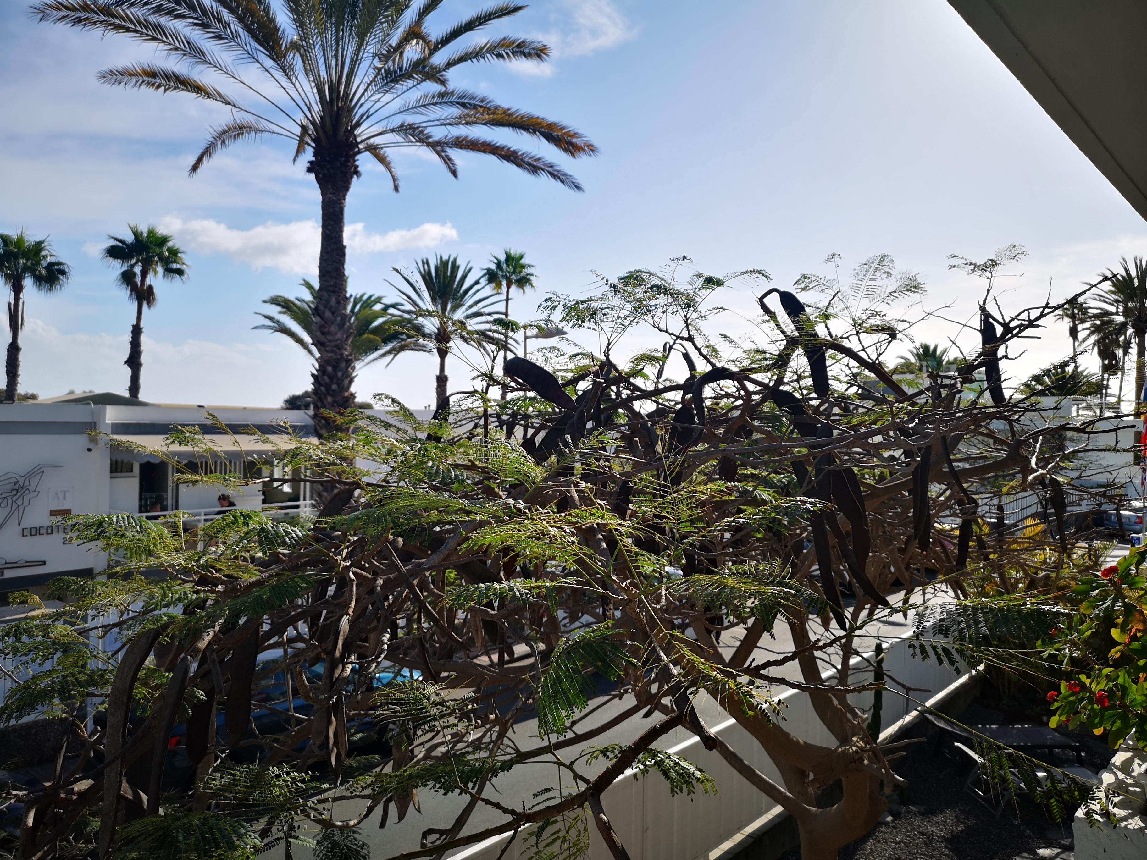 Apartamentos Tamara Maspalomas  Buitenkant foto