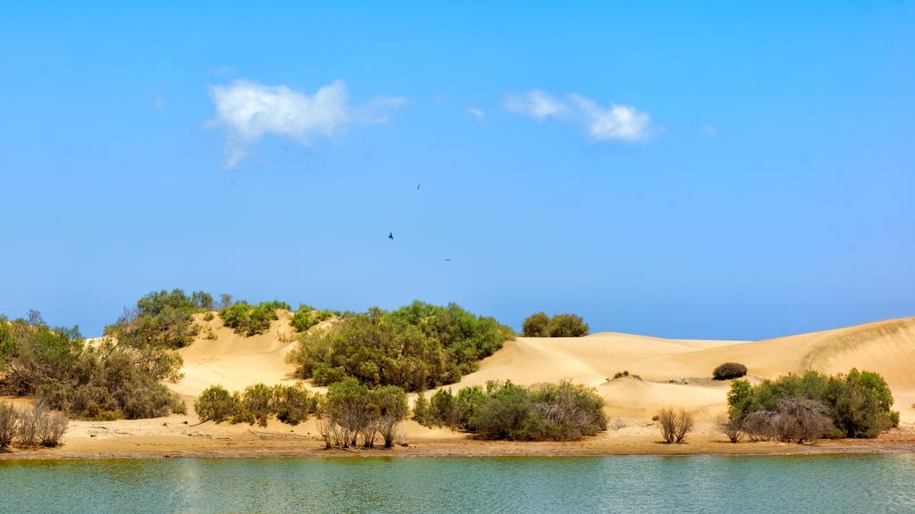 Apartamentos Tamara Maspalomas  Buitenkant foto